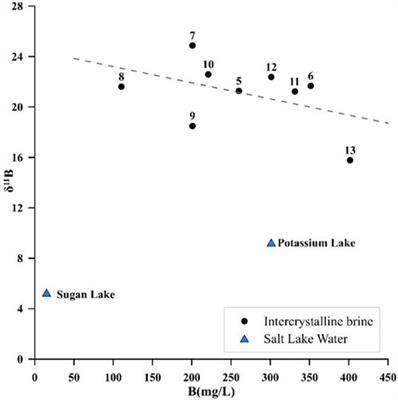 Origin and evolution of intercrystalline brine in the northern Qaidam Basin based on hydrochemistry and stable isotopes